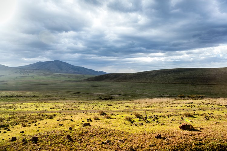 TZA ARU Ngorongoro 2016DEC25 005